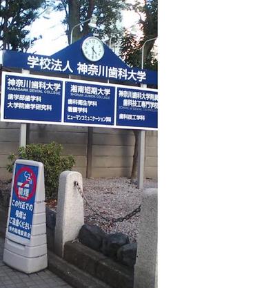 神奈川歯科大学.JPG